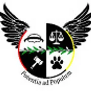 Ben Fulton Law logo