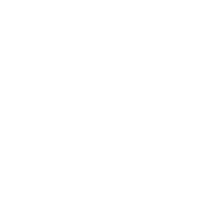 Blue Gavel Law logo