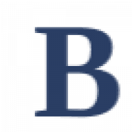 Bune Law logo