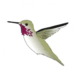 Calliope Law Corporation logo