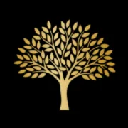 Caspersz Chegini LLP logo