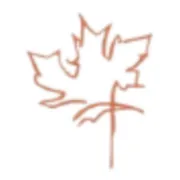 Greg Lauer, Barrister & Solicitor logo
