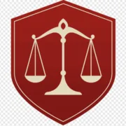 Diana Young Law Firm logo