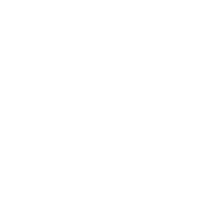 Fridmar Professional Corporation logo