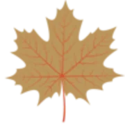 BinHimyar Law Group logo