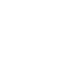 Dankanych Law Group logo