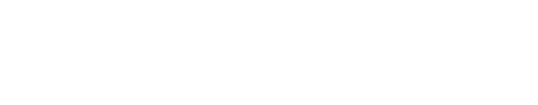 Levy Zavet PC logo