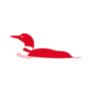 LooneyTooney logo