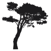 Madrona Law Office logo