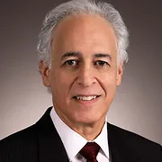 Leslie E. Maerov Arbitrations Inc. logo