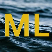 Magnusson Law logo