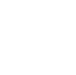 Miller Titerle + Co. logo