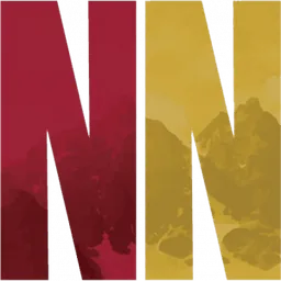 Nelson & Nelson logo