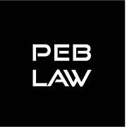 Paul E. Briggs Law logo