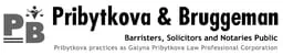 Pribytkova & Bruggeman logo
