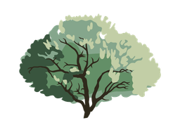 Sage Hill Law logo
