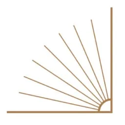 Salooja Law logo