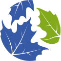 Sas & Ing Immigration Law Centre logo