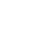 Shariff & Associates logo