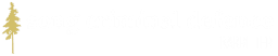 Song Criminal Defence logo