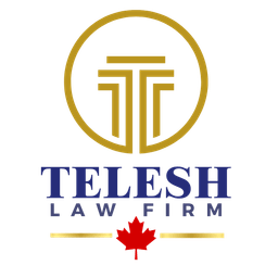 Telesh Law Firm Professional Corp logo
