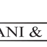 Villani & Company logo