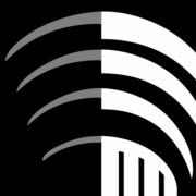 Fink & Bornstein logo